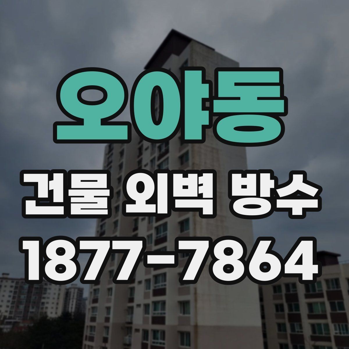 오야동 건물 외벽 방수 재료별 특징과 차이