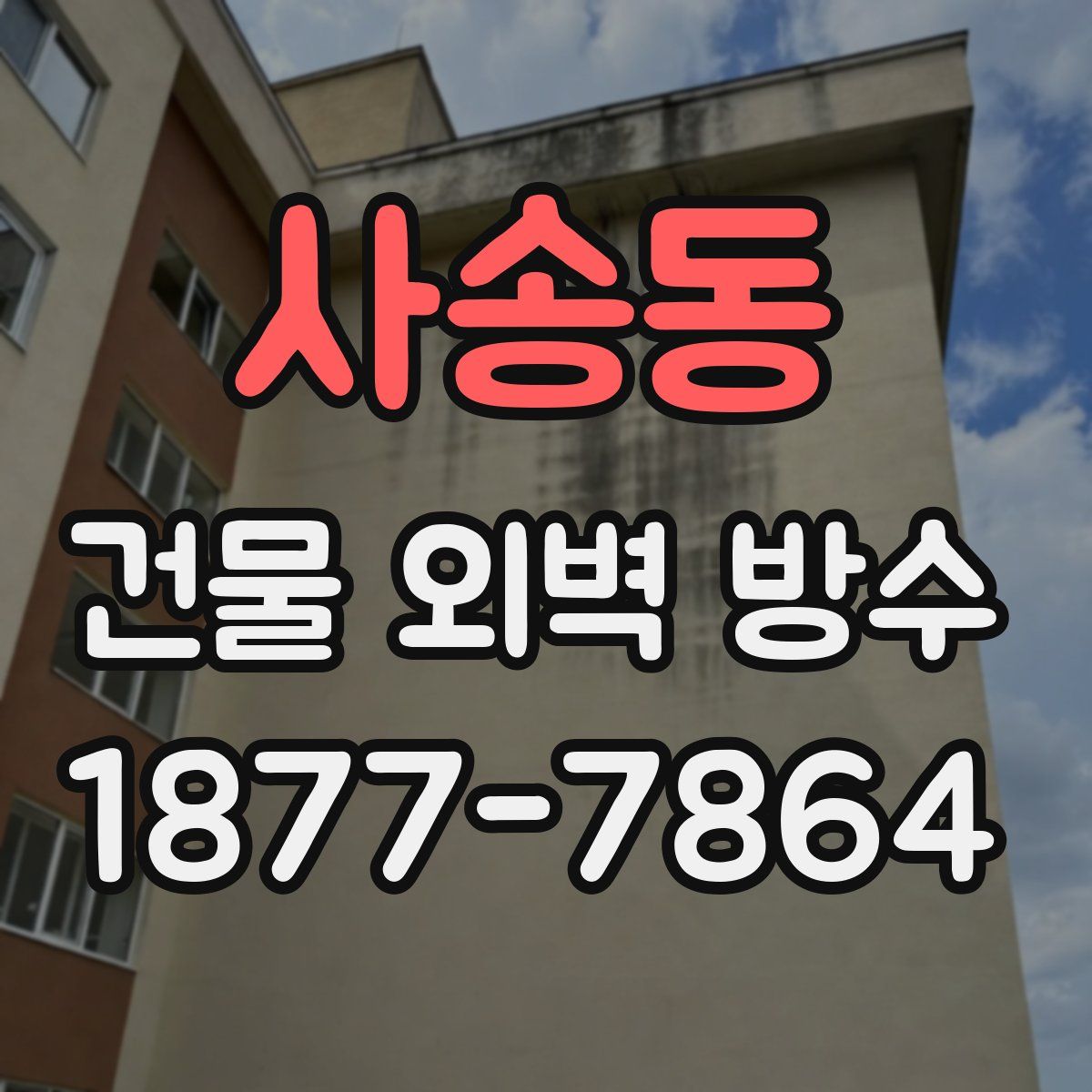 사송동 건물 외벽 방수