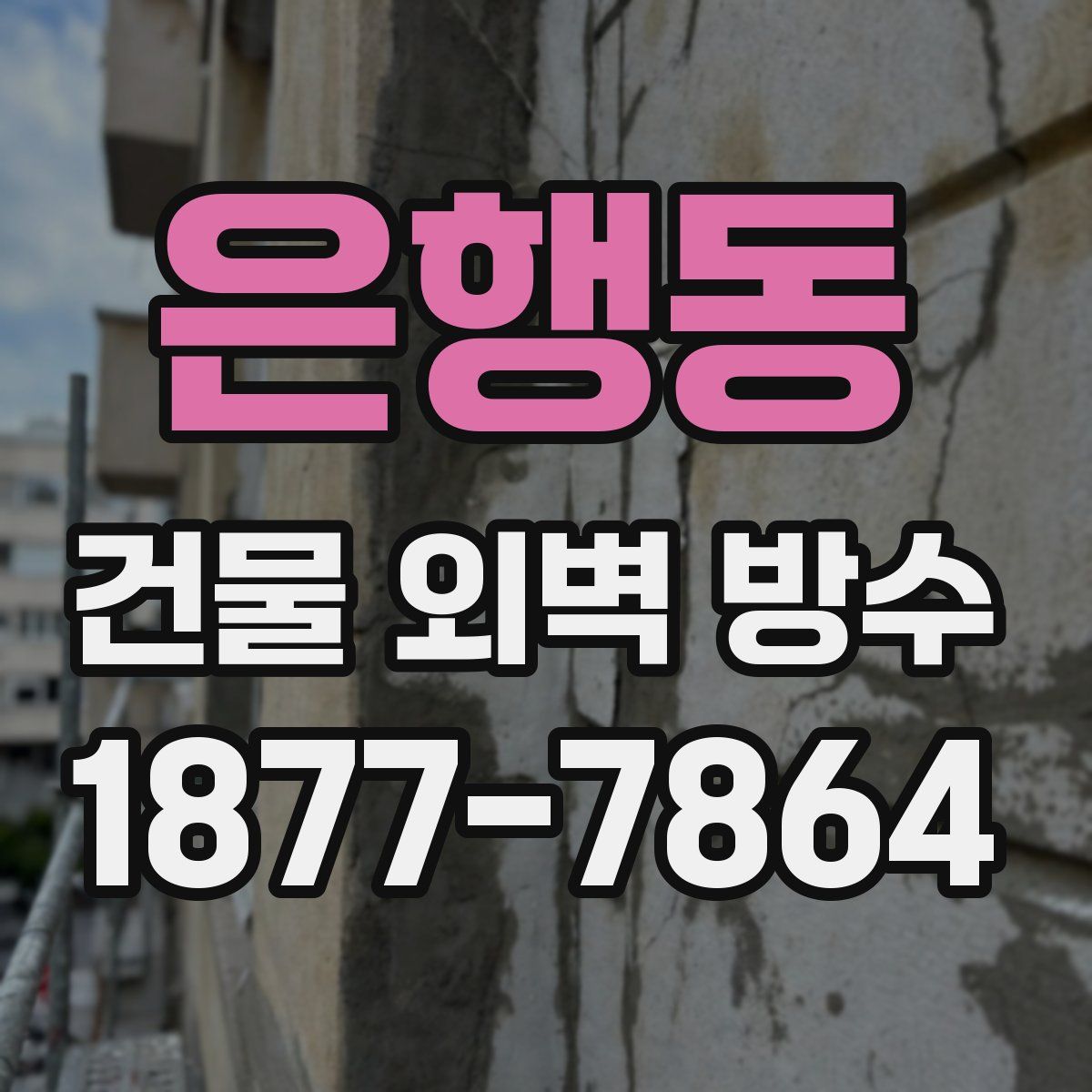 은행동 건물 외벽 방수