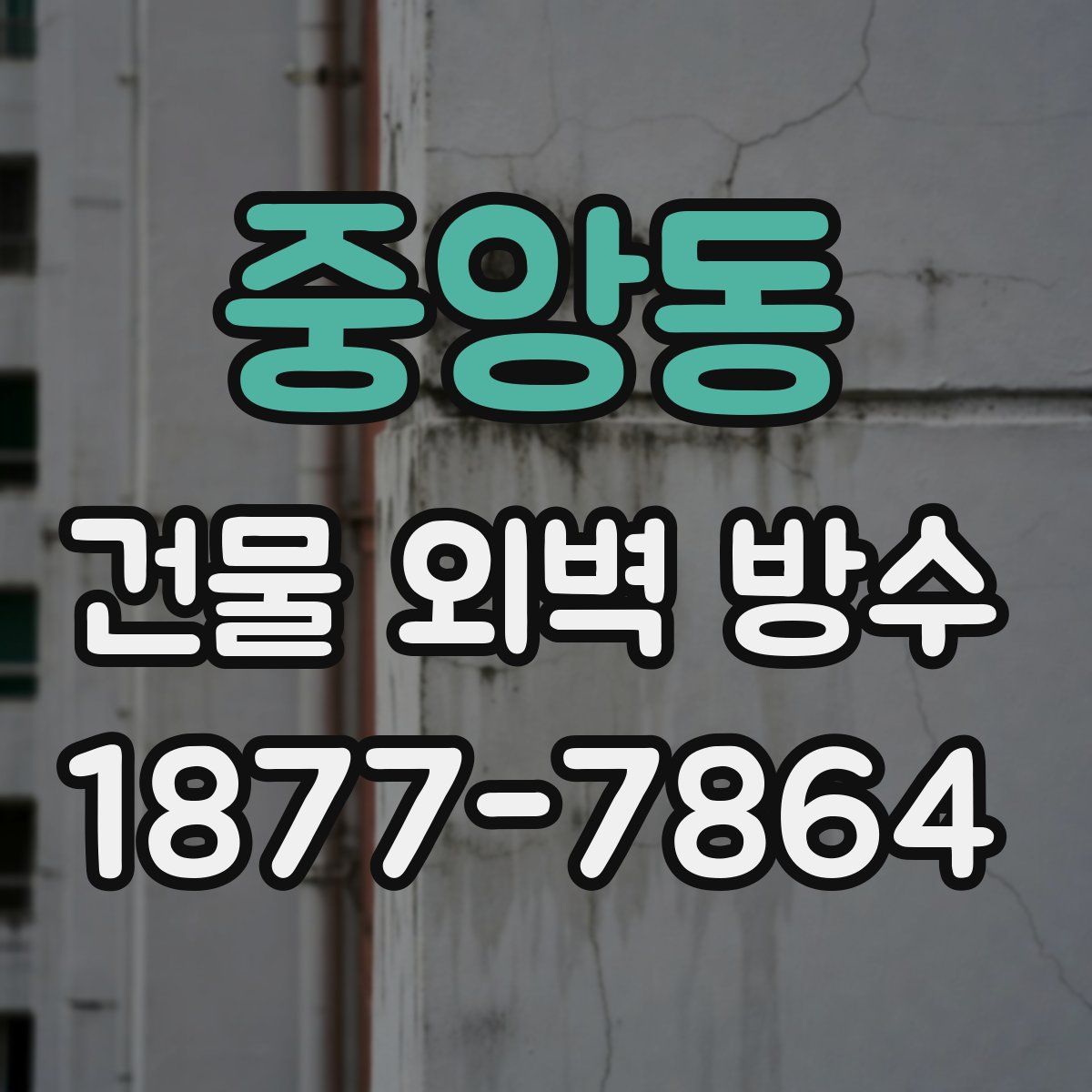 중앙동 건물 외벽 방수
