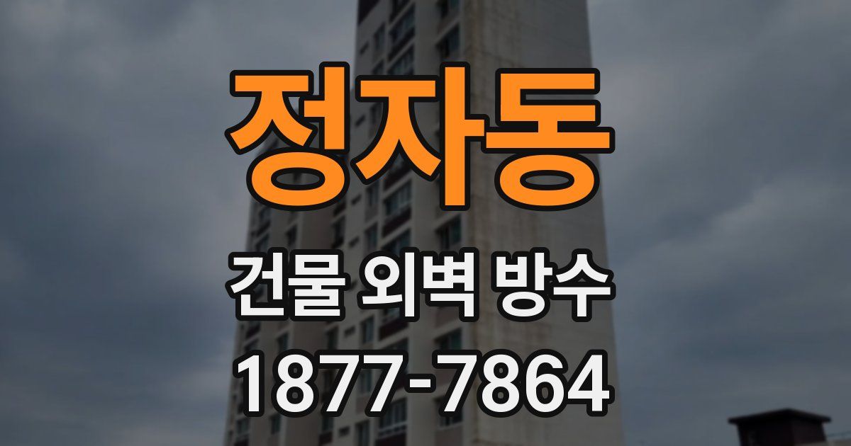 정자동 건물 외벽 방수