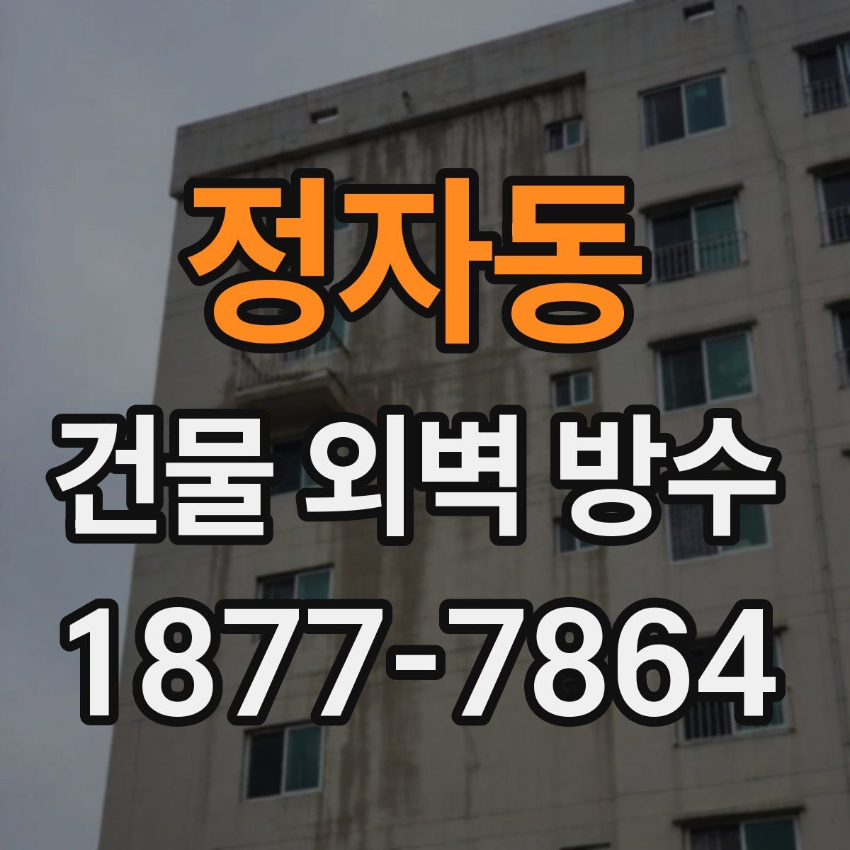정자동 건물 외벽 방수