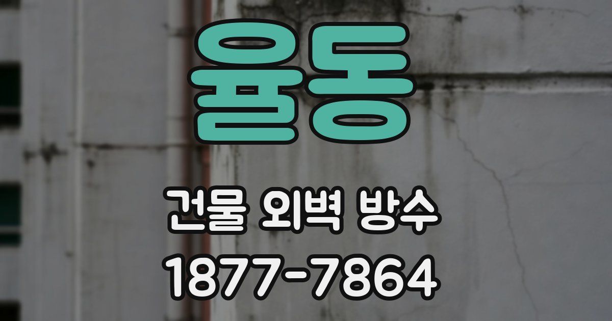율동 건물 외벽 방수