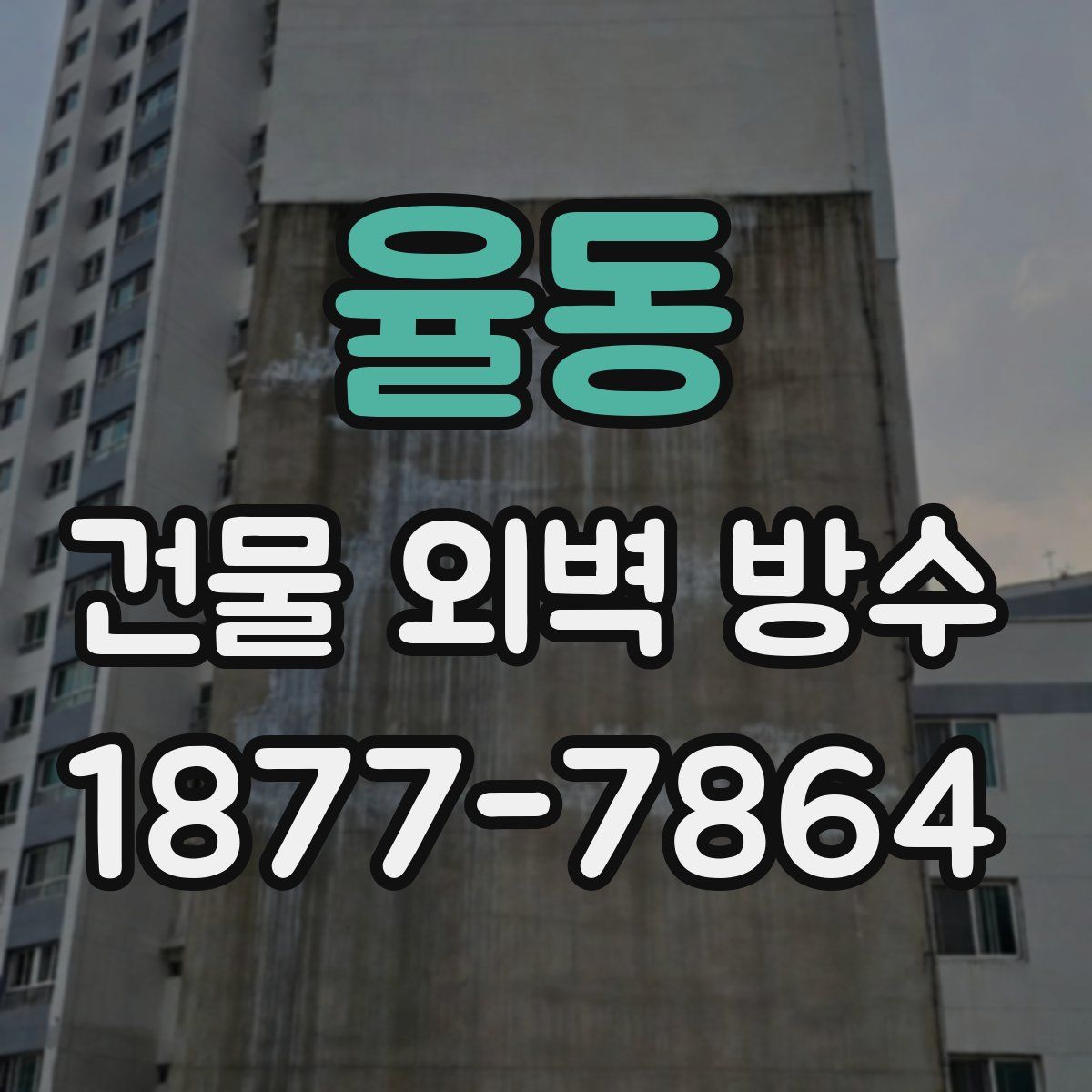 율동 건물 외벽 방수