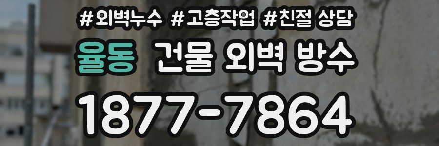 율동 건물 외벽 방수
