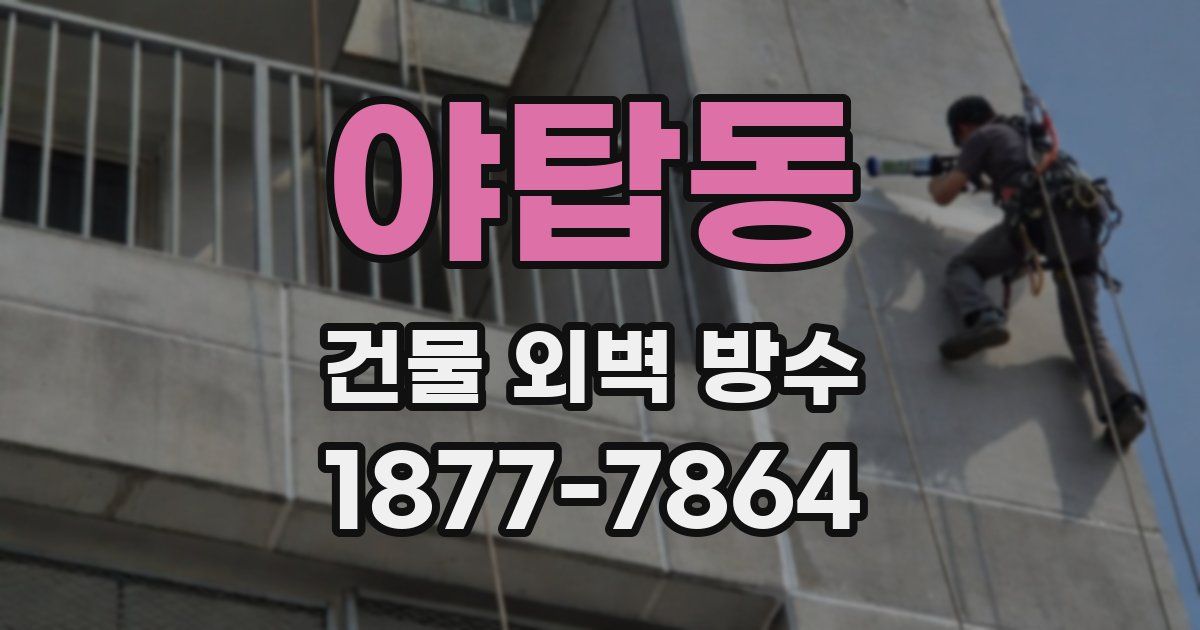 야탑동 건물 외벽 방수