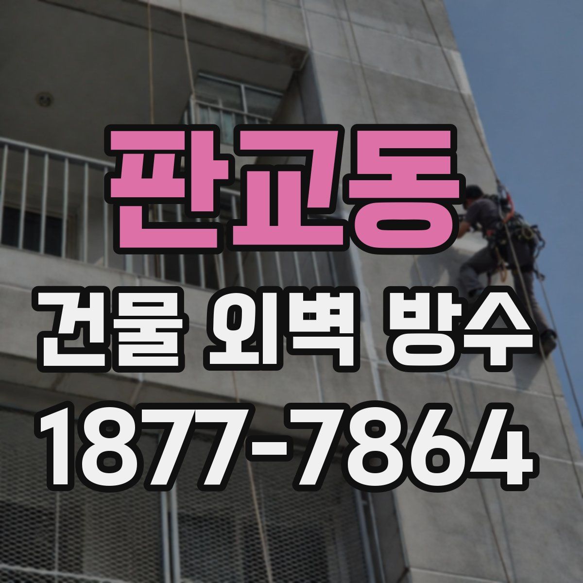 판교동 건물 외벽 방수