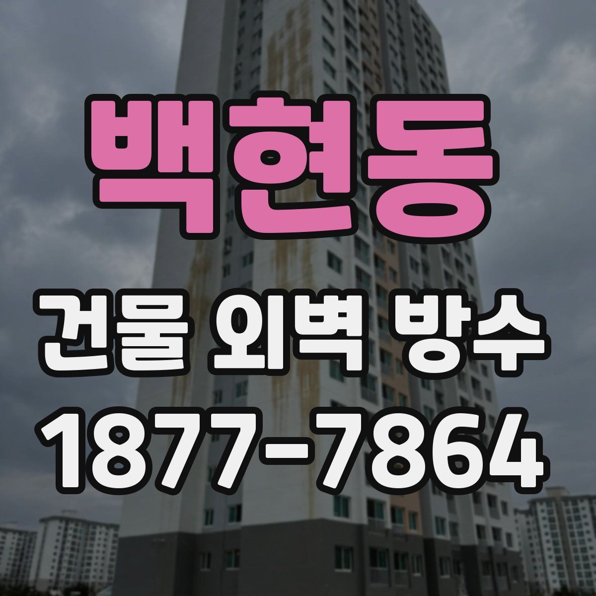 백현동 건물 외벽 방수