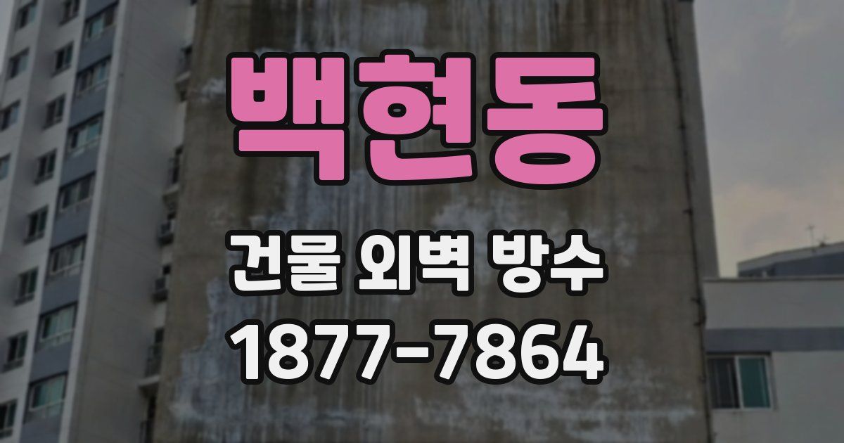 백현동 건물 외벽 방수