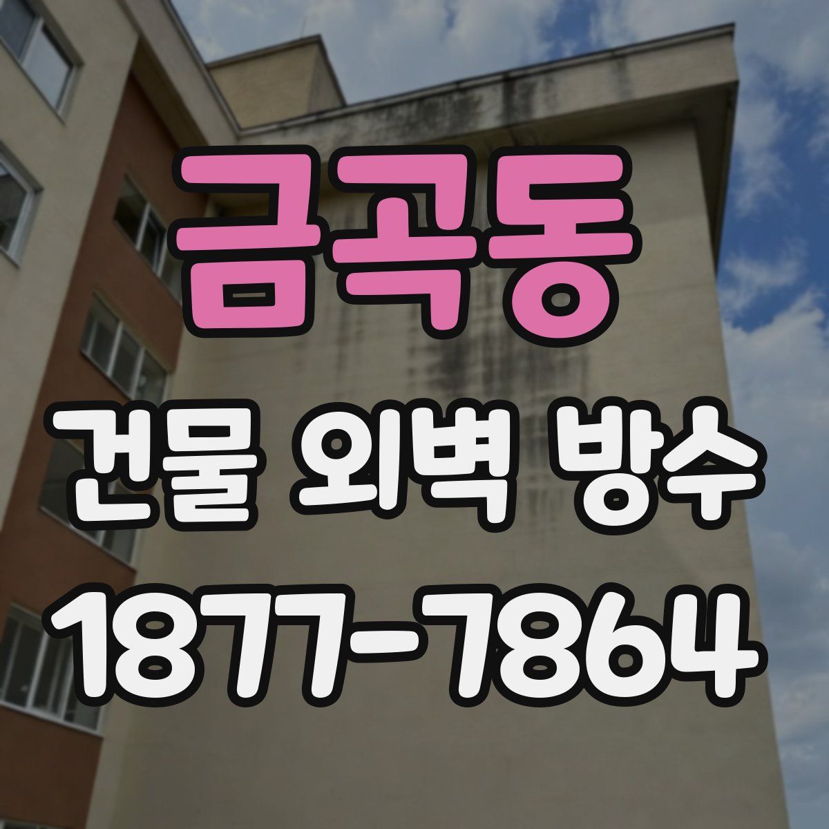금곡동 건물 외벽 방수