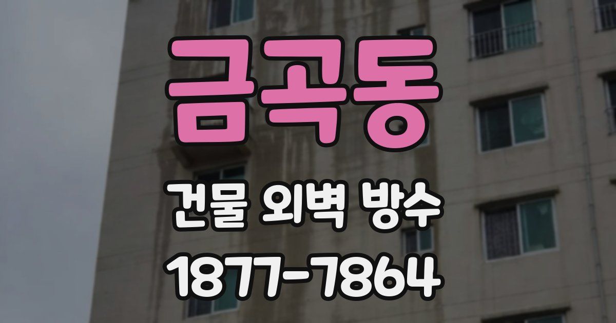 금곡동 건물 외벽 방수