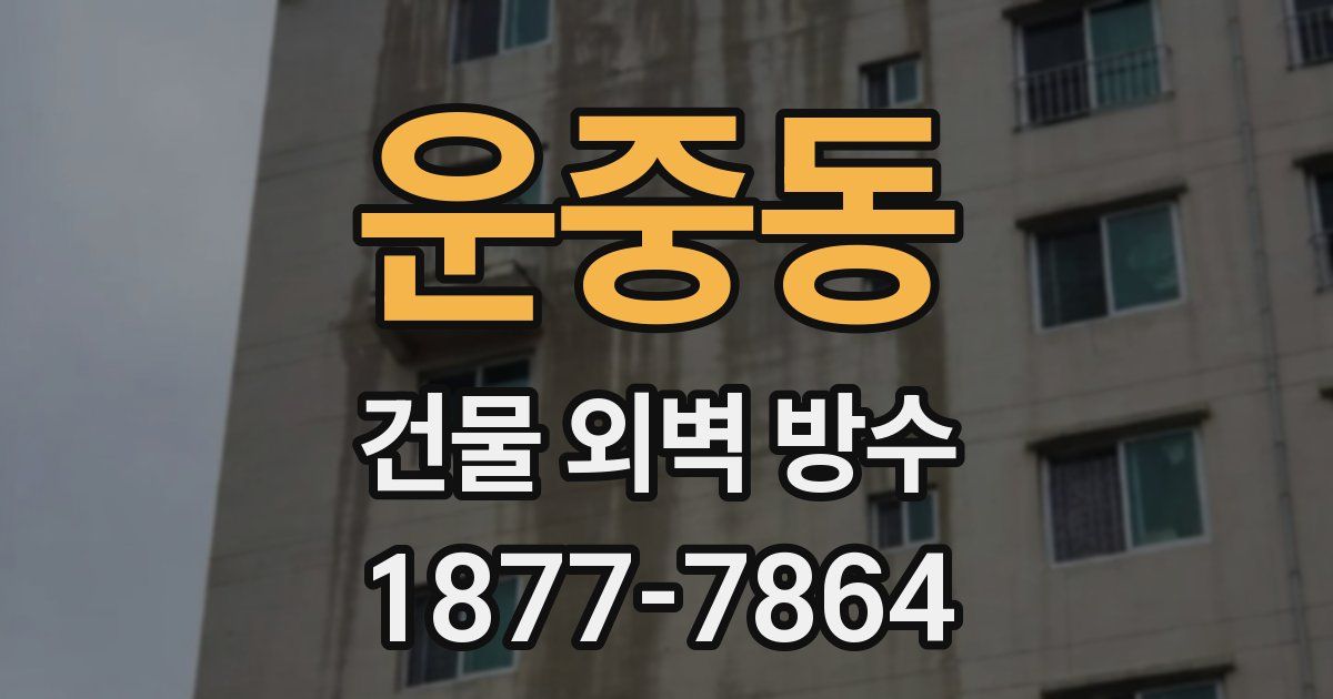 운중동 건물 외벽 방수