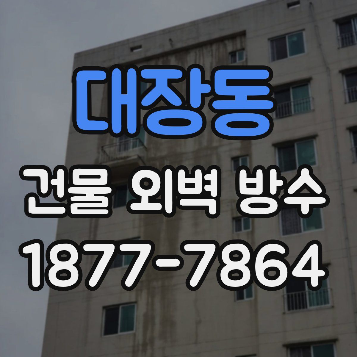 대장동 건물 외벽 방수