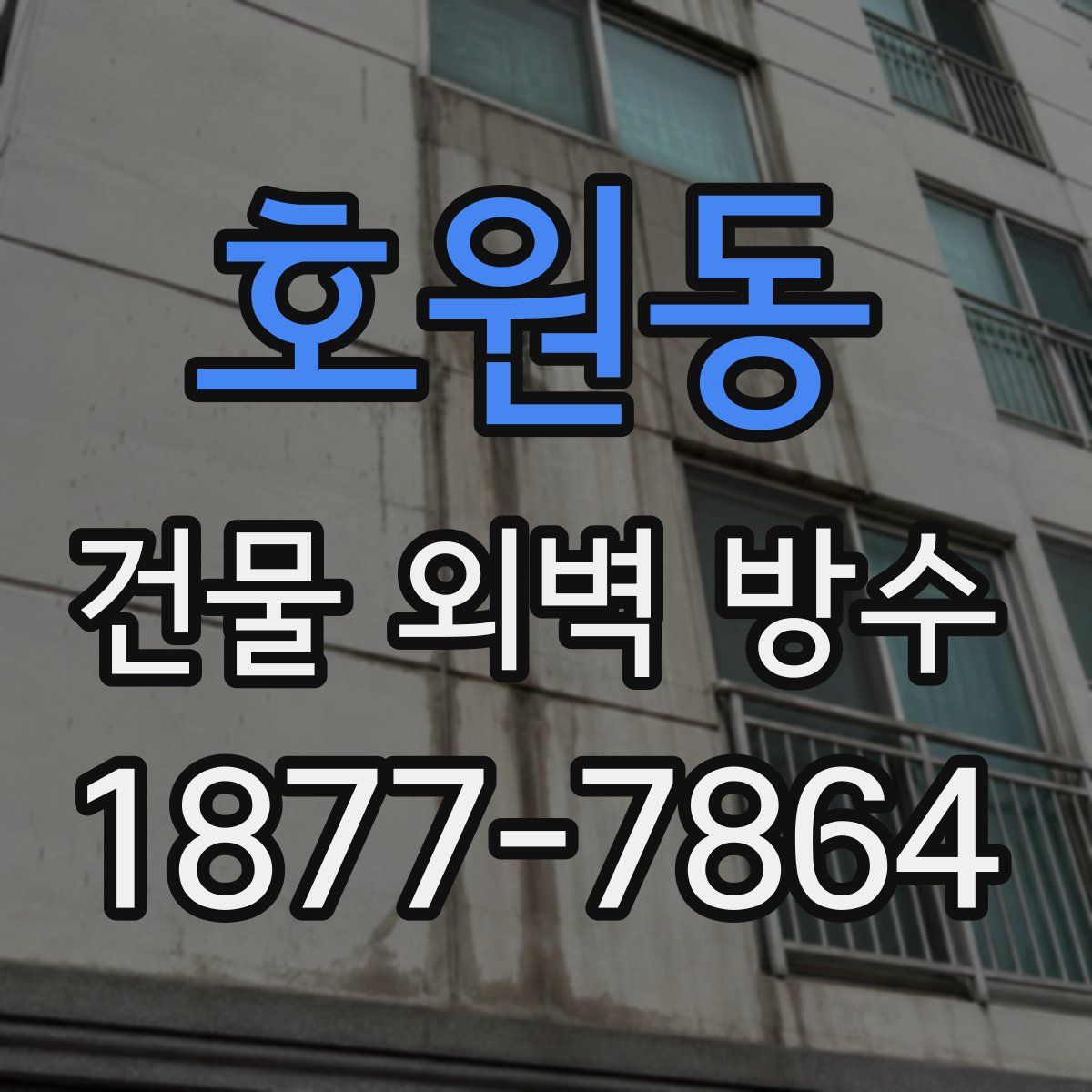 호원동 건물 외벽 방수