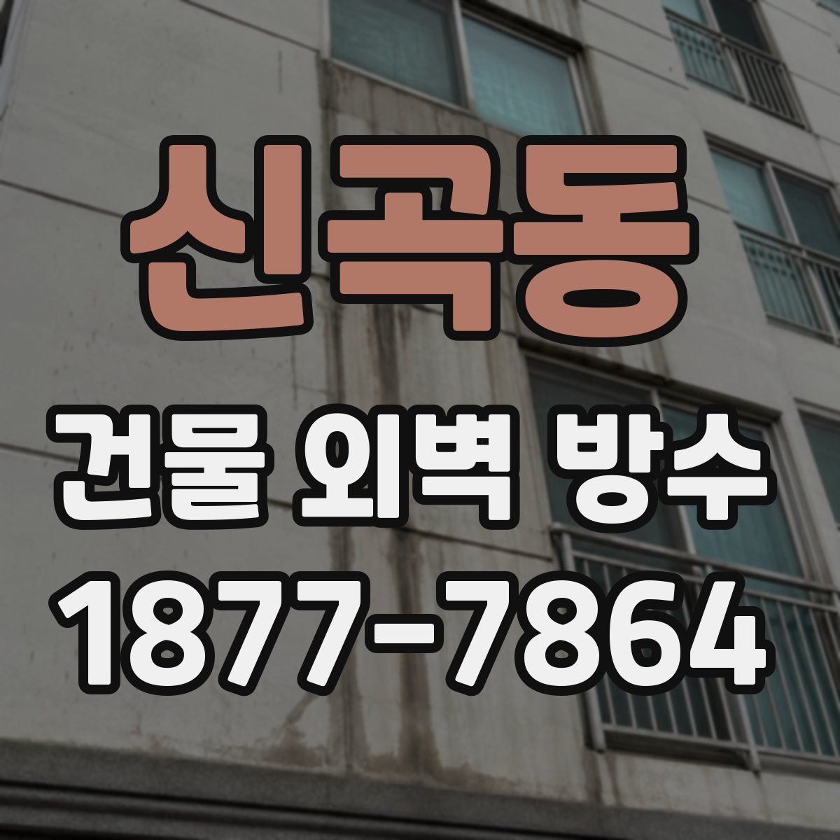 신곡동 건물 외벽 방수