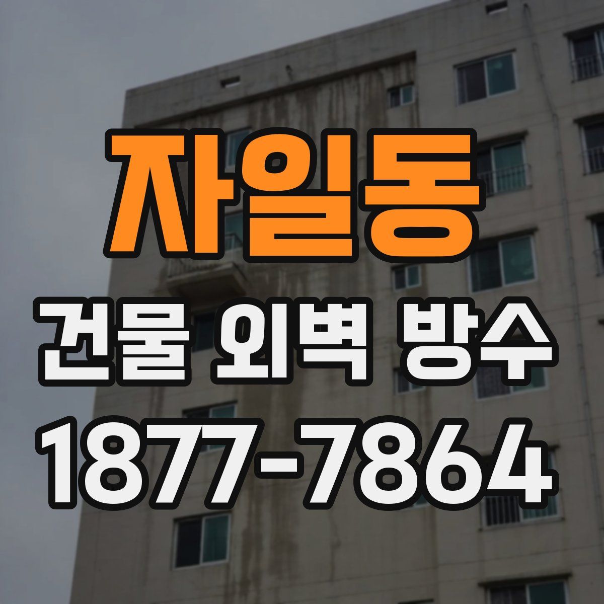 자일동 건물 외벽 방수
