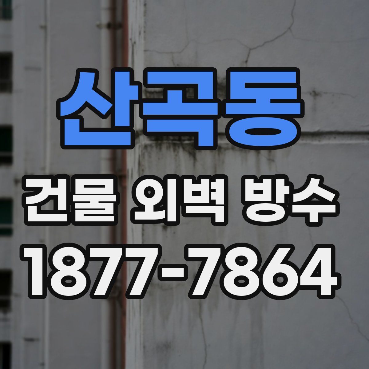 산곡동 건물 외벽 방수