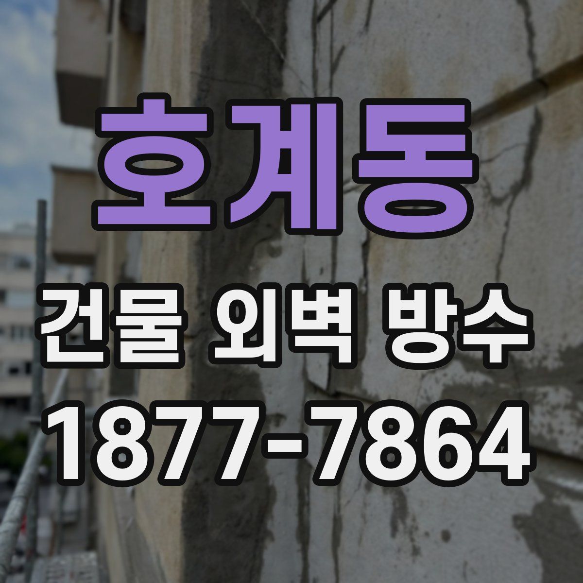호계동 건물 외벽 방수