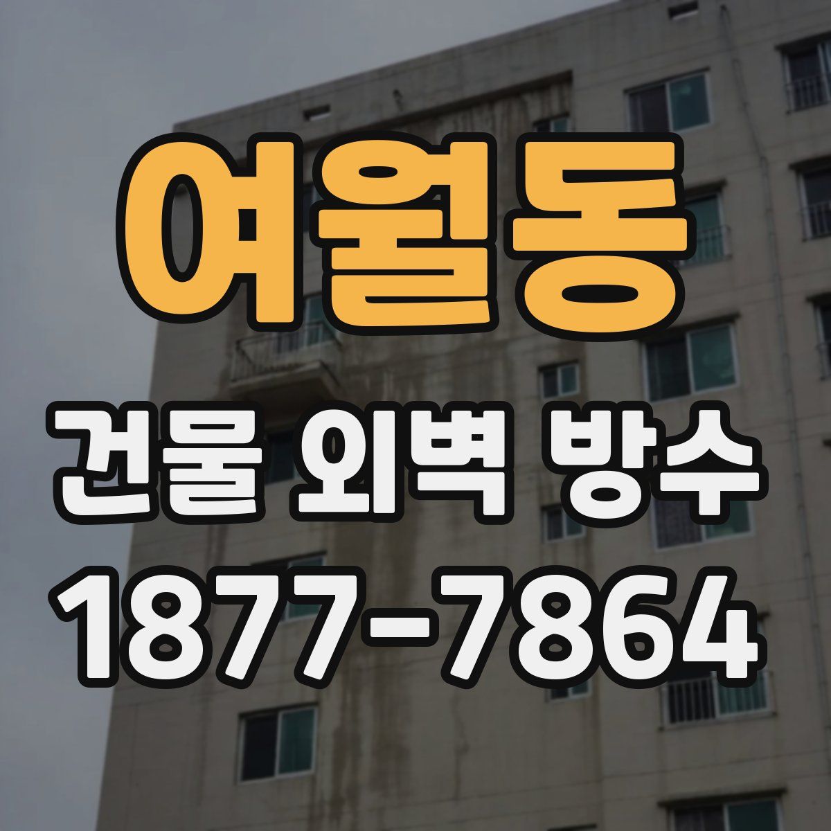 여월동 건물 외벽 방수