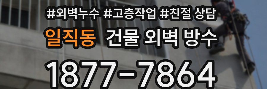 일직동 건물 외벽 방수