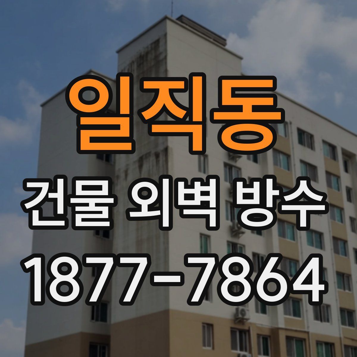 일직동 건물 외벽 방수