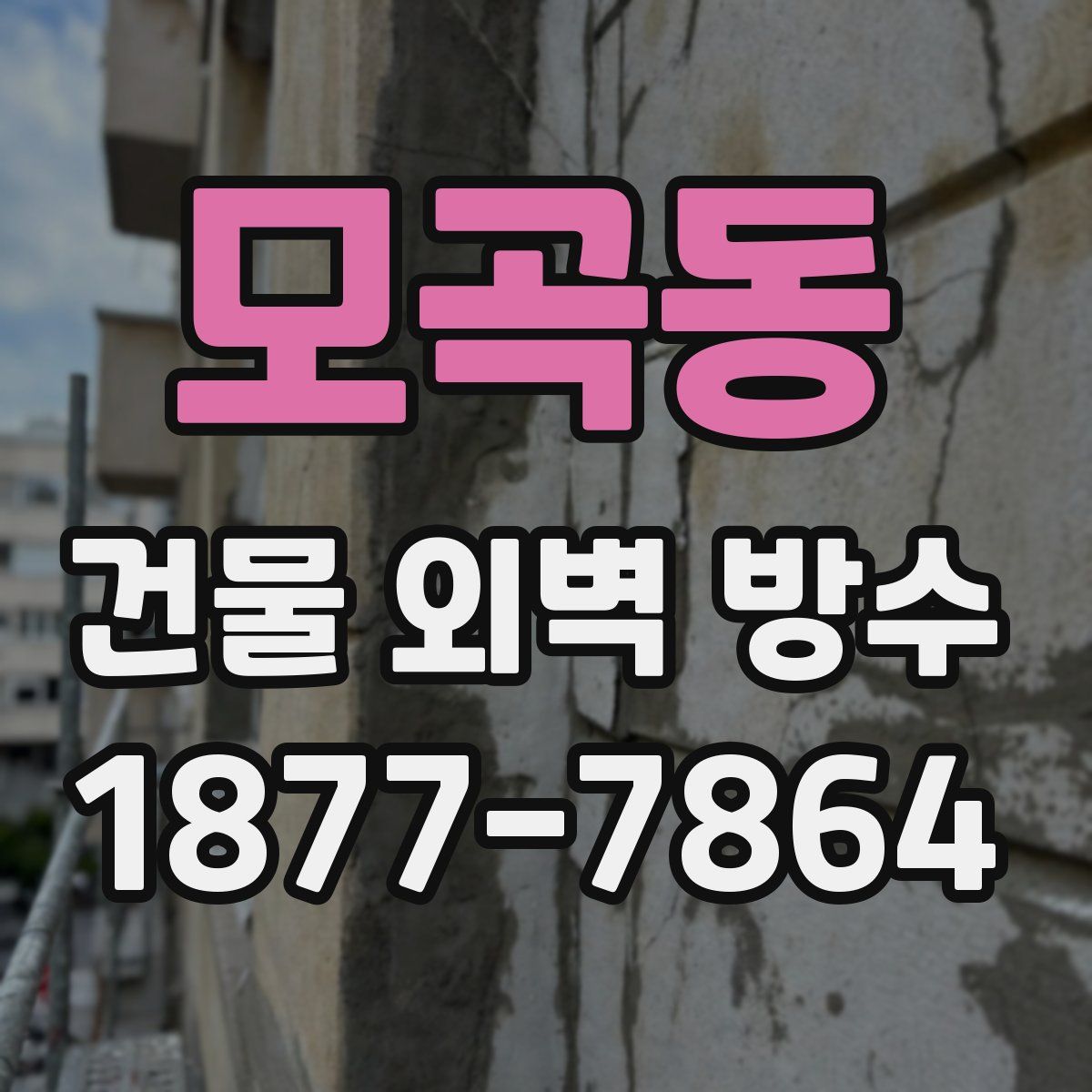 모곡동 건물 외벽 방수