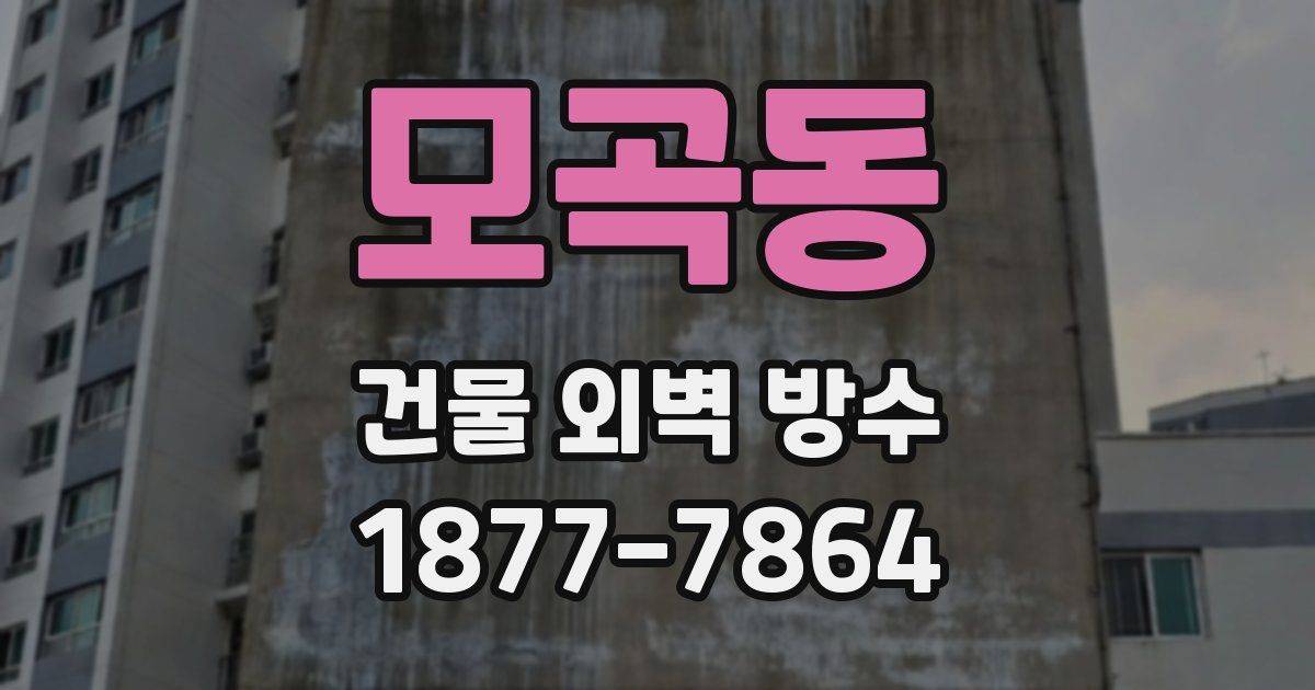 모곡동 건물 외벽 방수