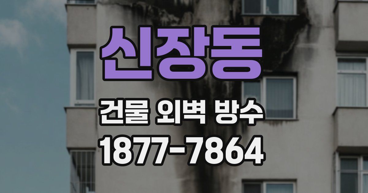 신장동 건물 외벽 방수