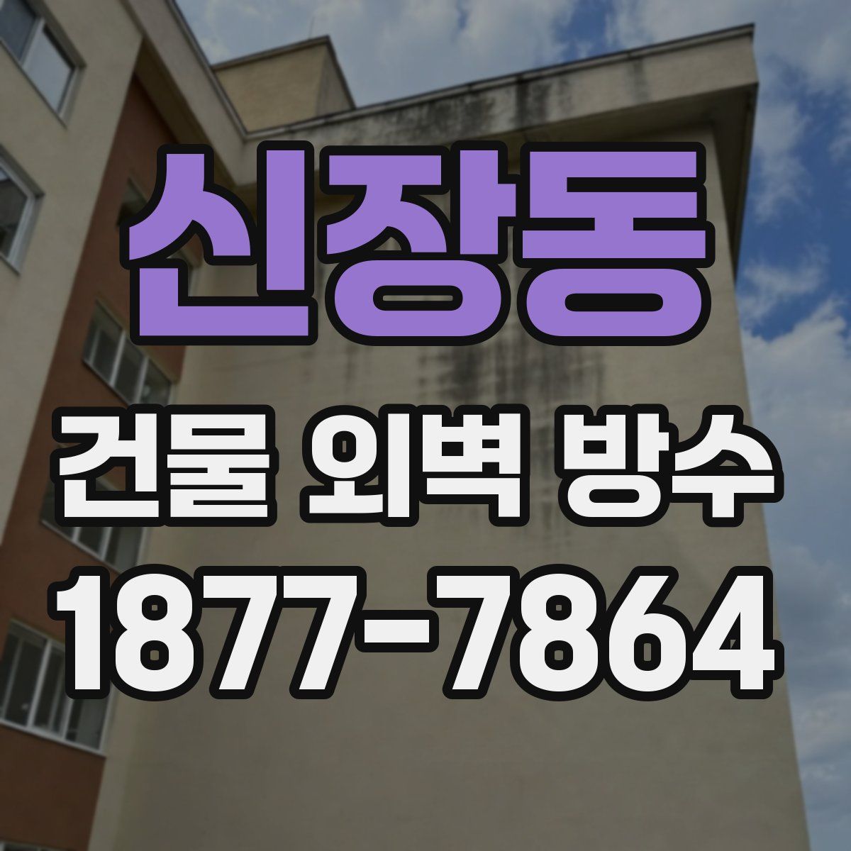 신장동 건물 외벽 방수