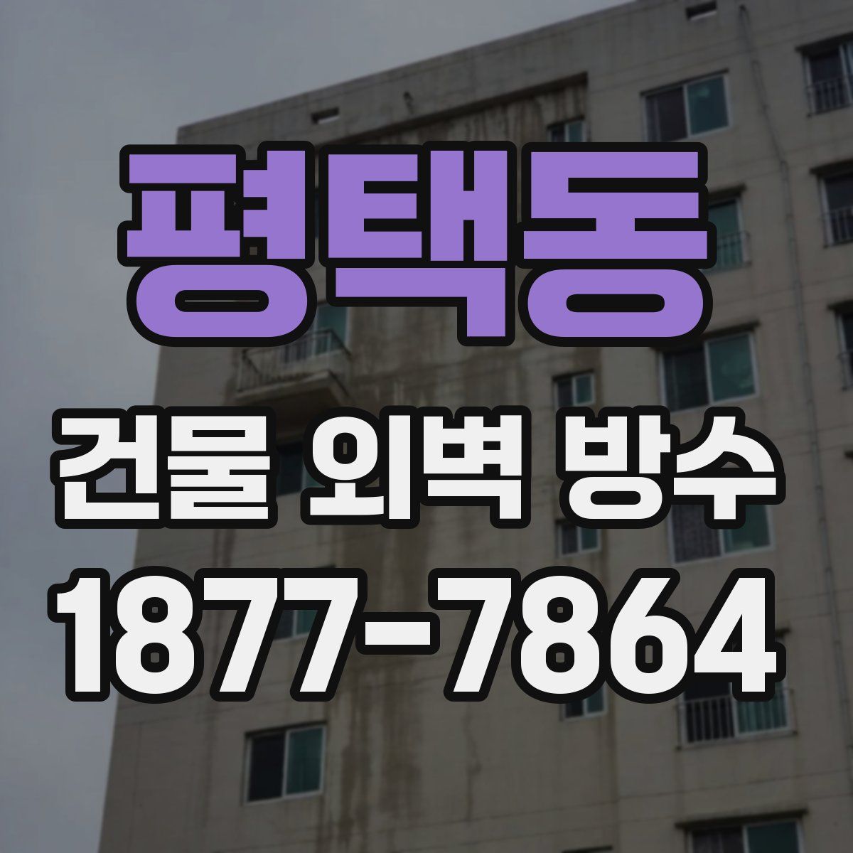 평택동 건물 외벽 방수