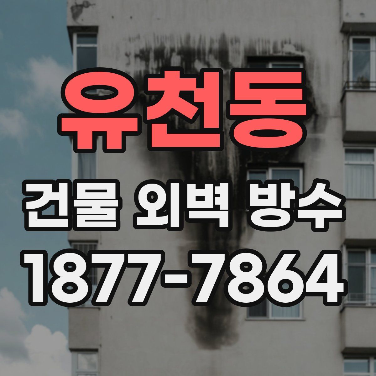 유천동 건물 외벽 방수