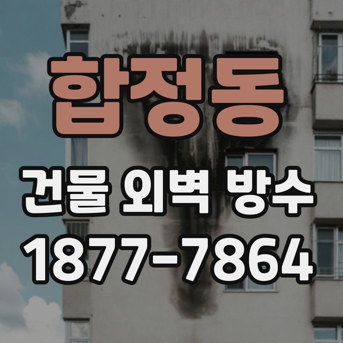 합정동 건물 외벽 방수