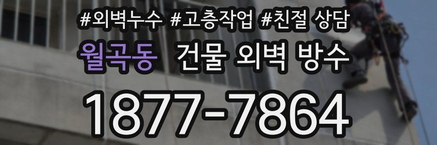 월곡동 건물 외벽 방수