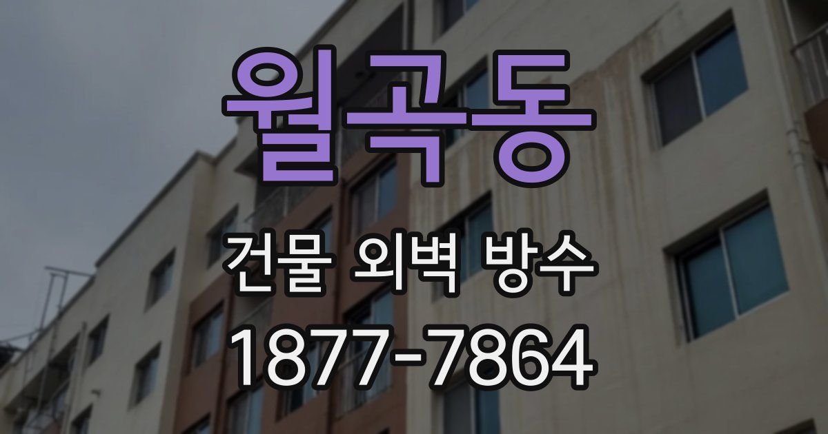 월곡동 건물 외벽 방수