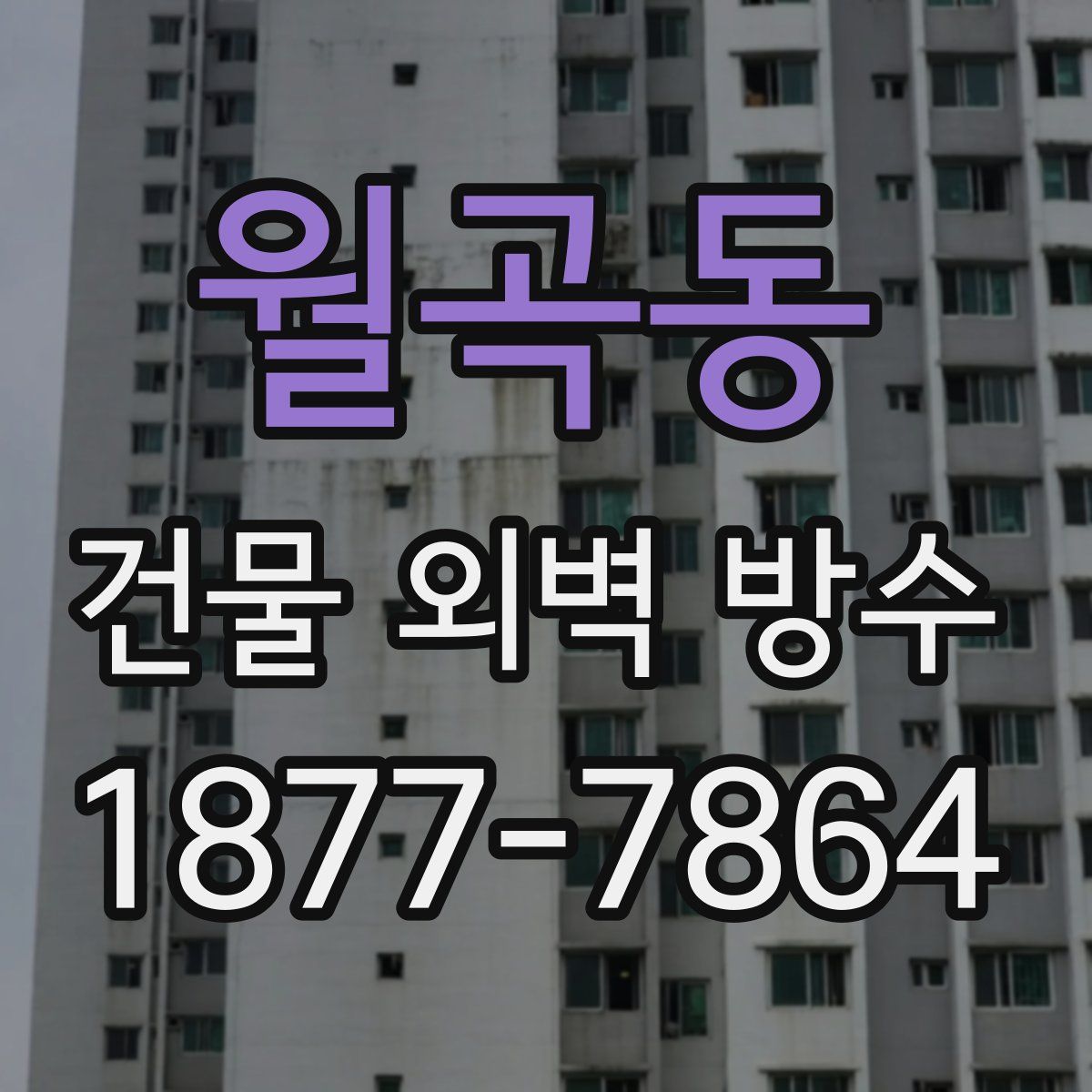 월곡동 건물 외벽 방수