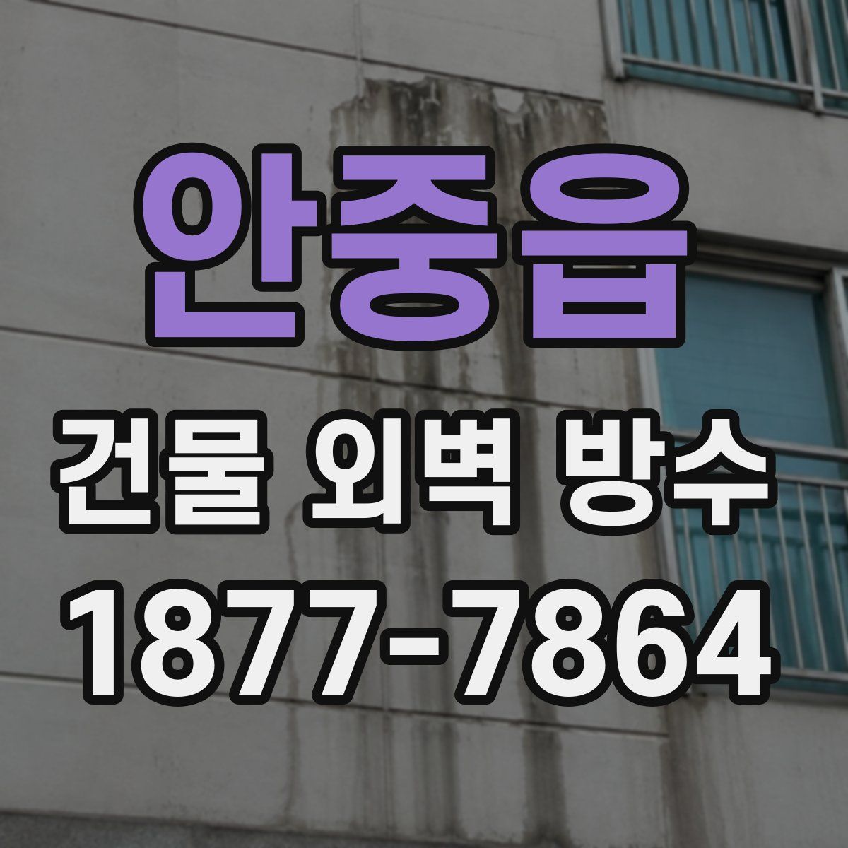 안중읍 건물 외벽 방수