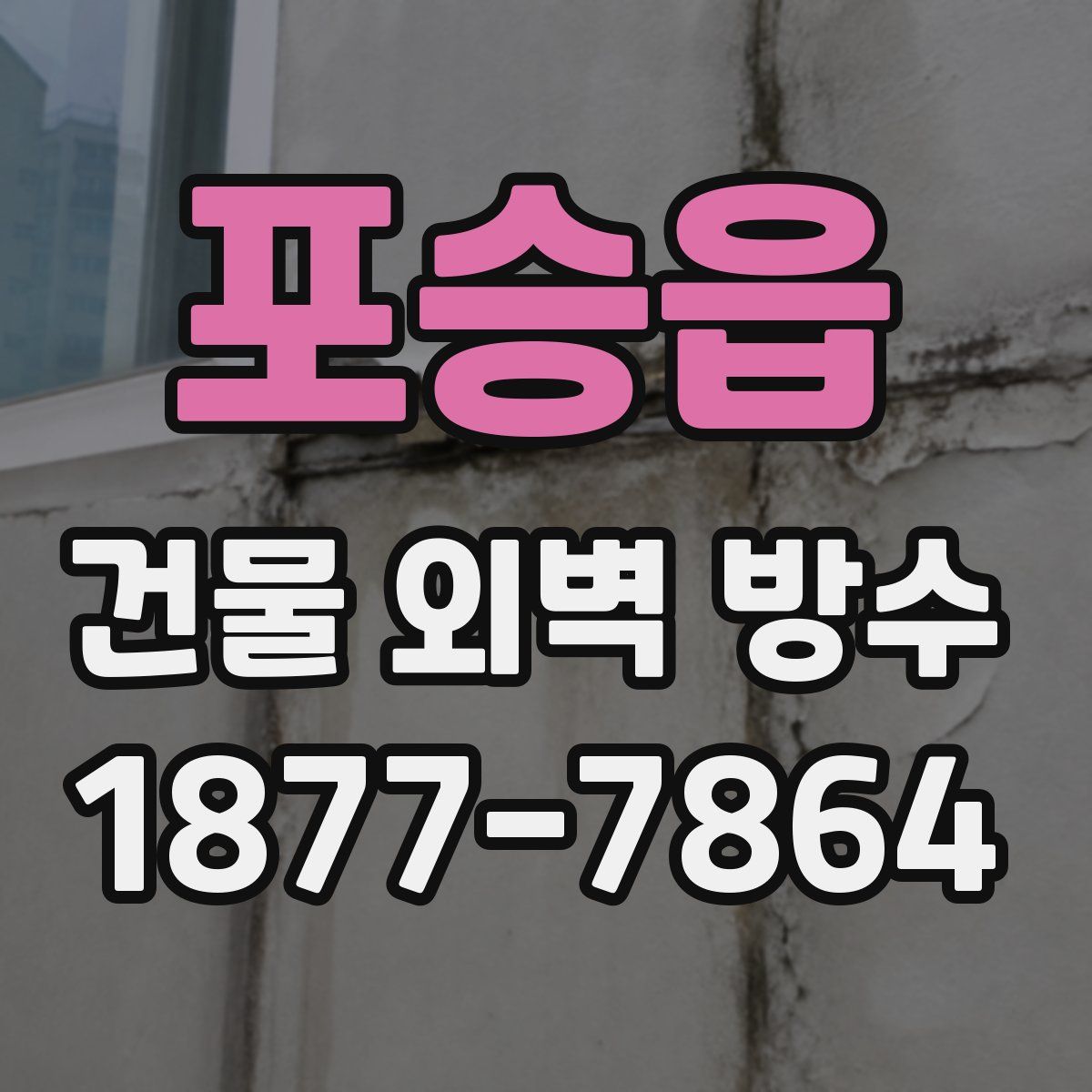포승읍 건물 외벽 방수
