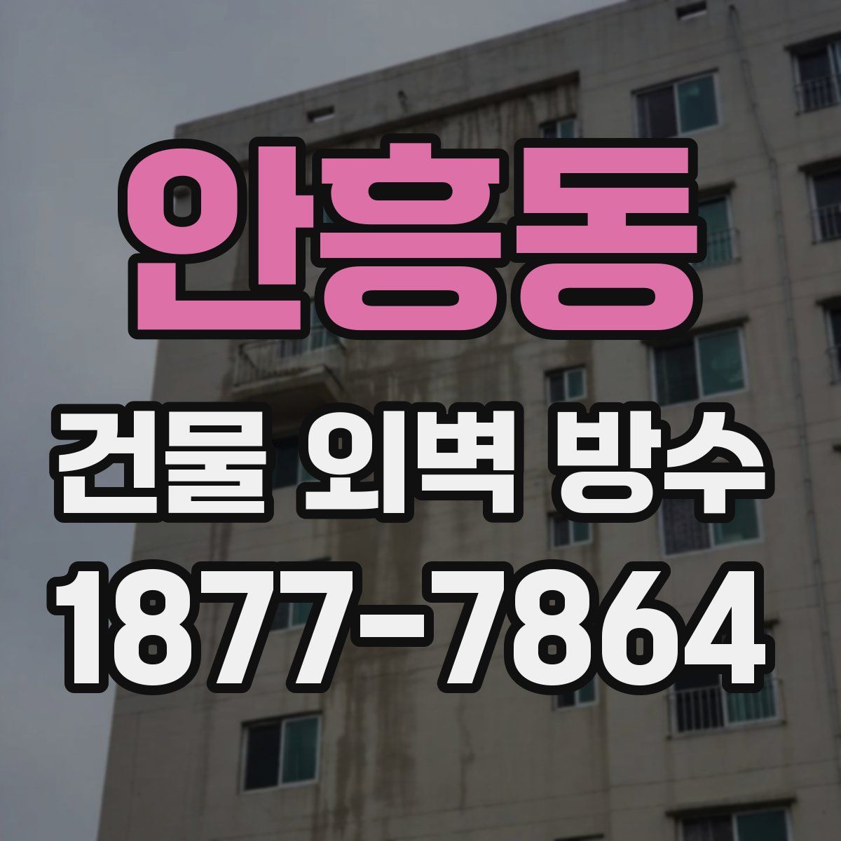 안흥동 건물 외벽 방수