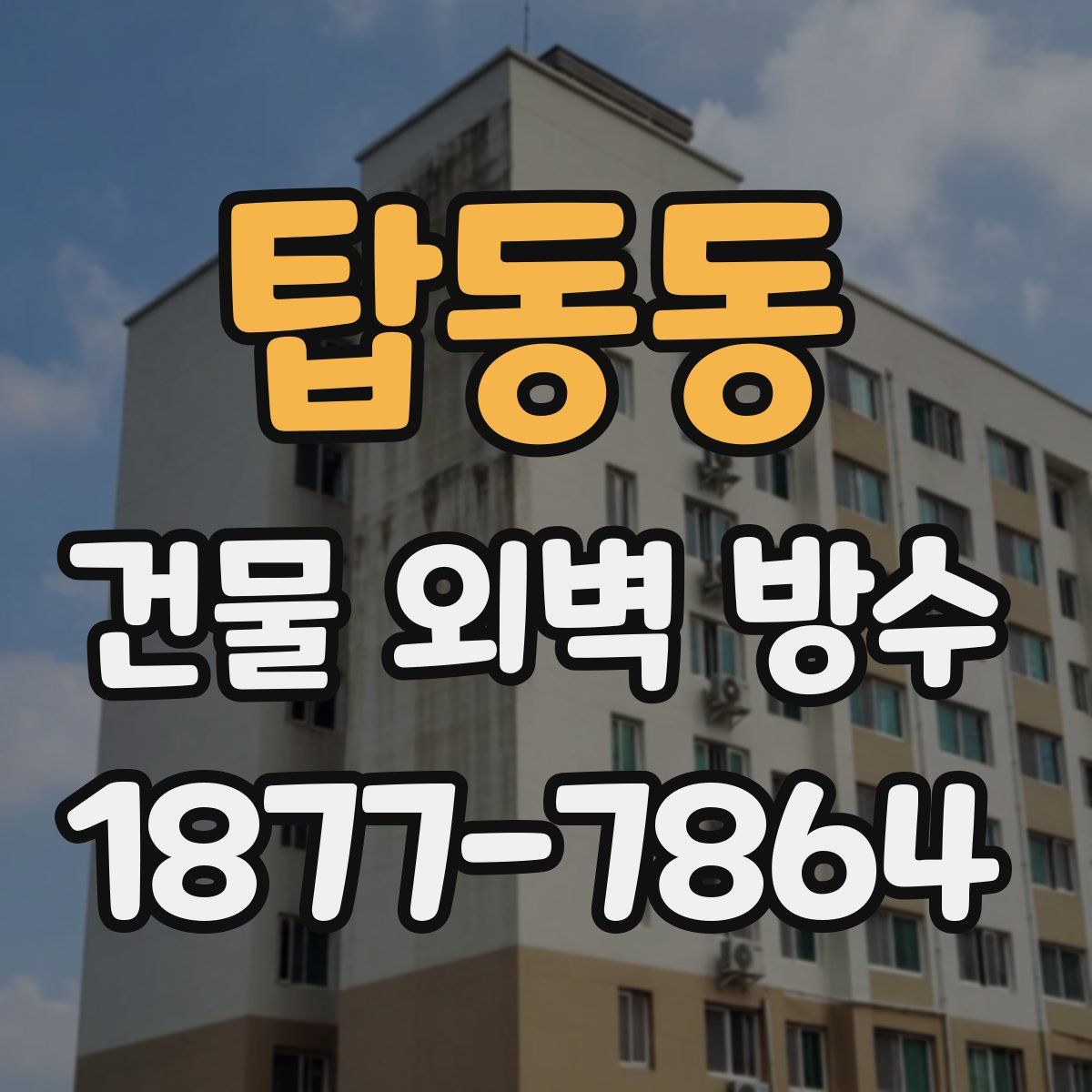 탑동동 건물 외벽 방수