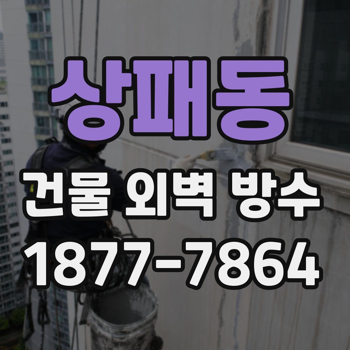 상패동 건물 외벽 방수 벽체 손상 정도에 따른 보수 선택