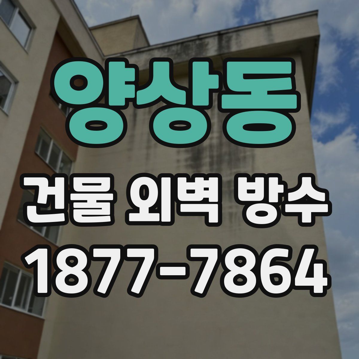 양상동 건물 외벽 방수