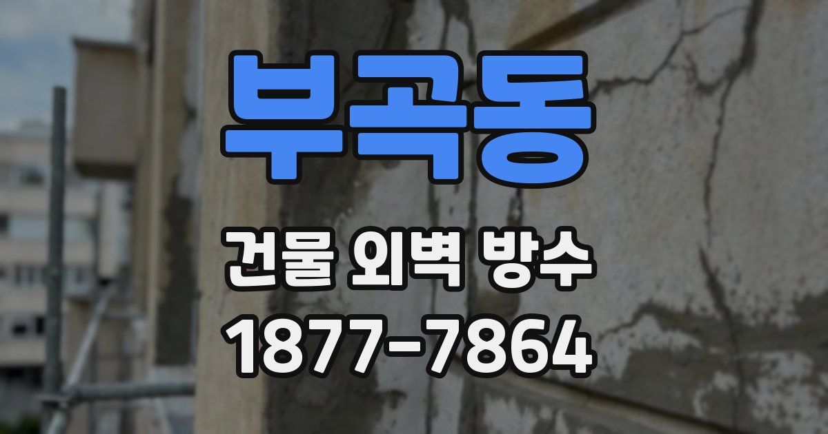 부곡동 건물 외벽 방수