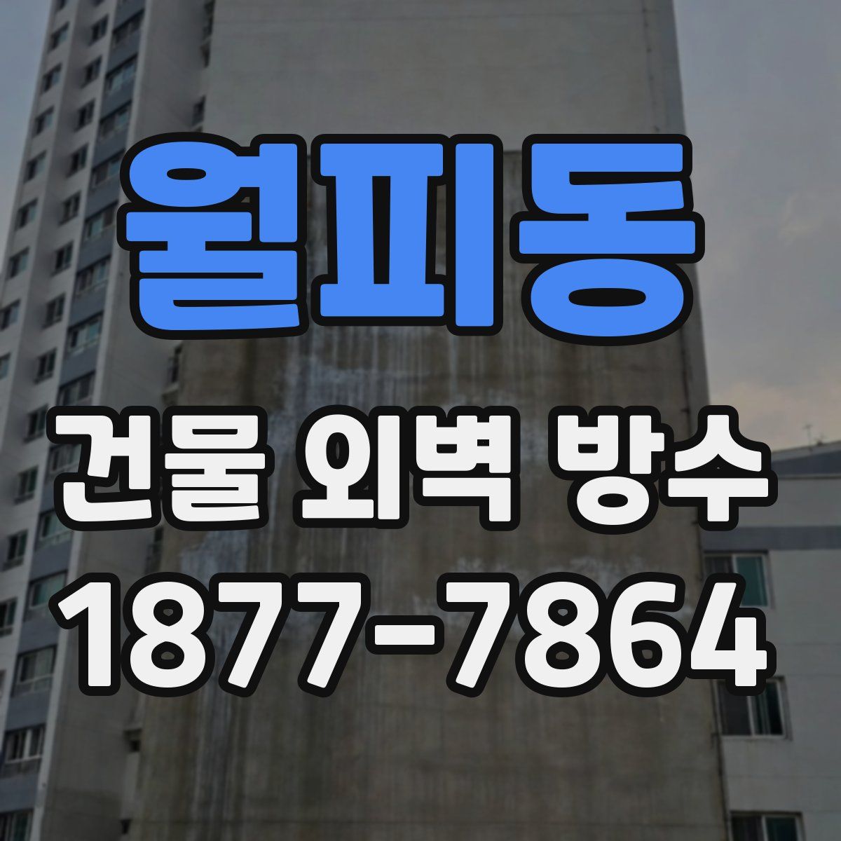 월피동 건물 외벽 방수