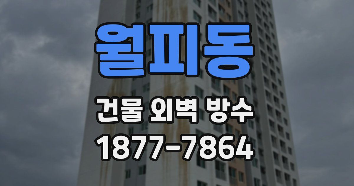 월피동 건물 외벽 방수