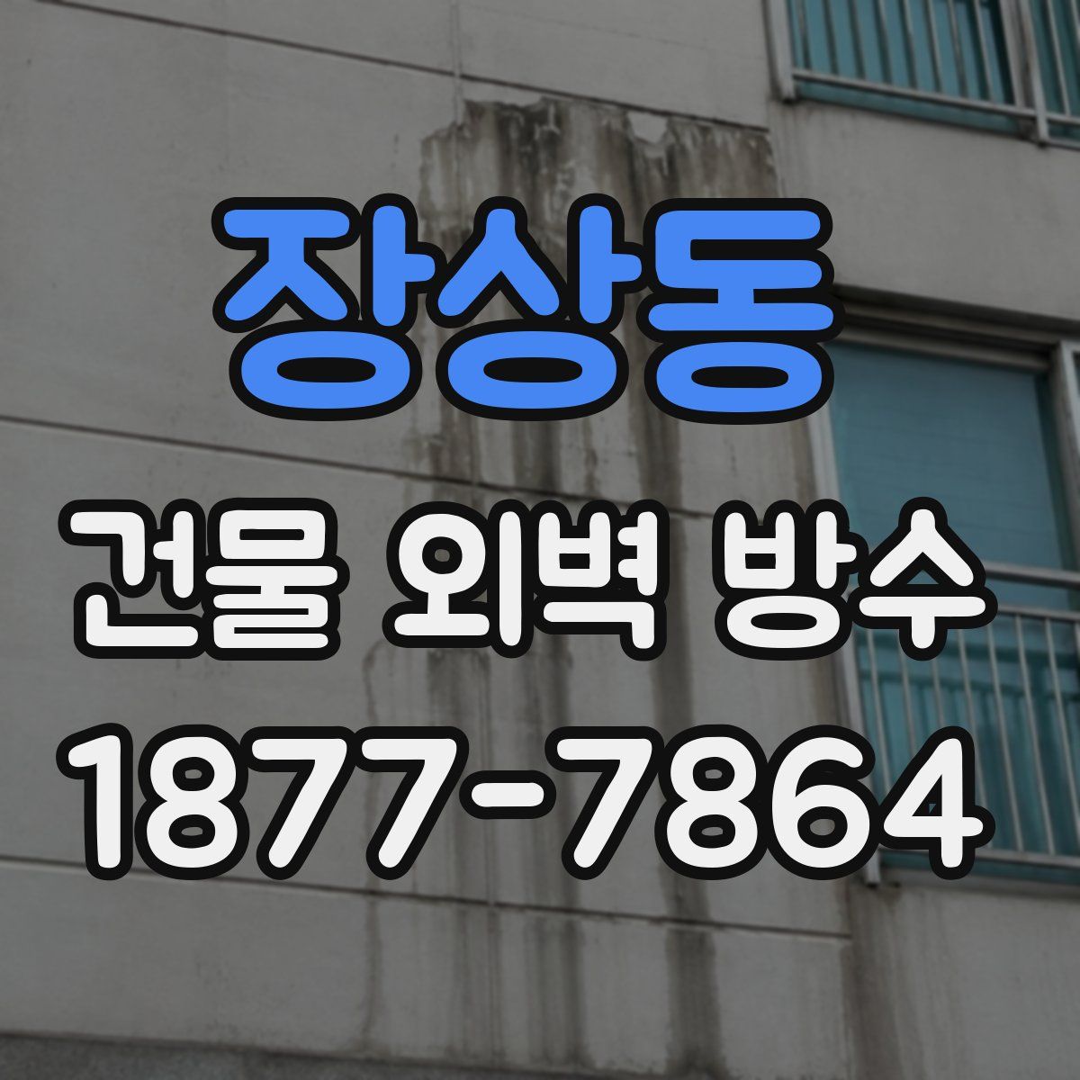장상동 건물 외벽 방수