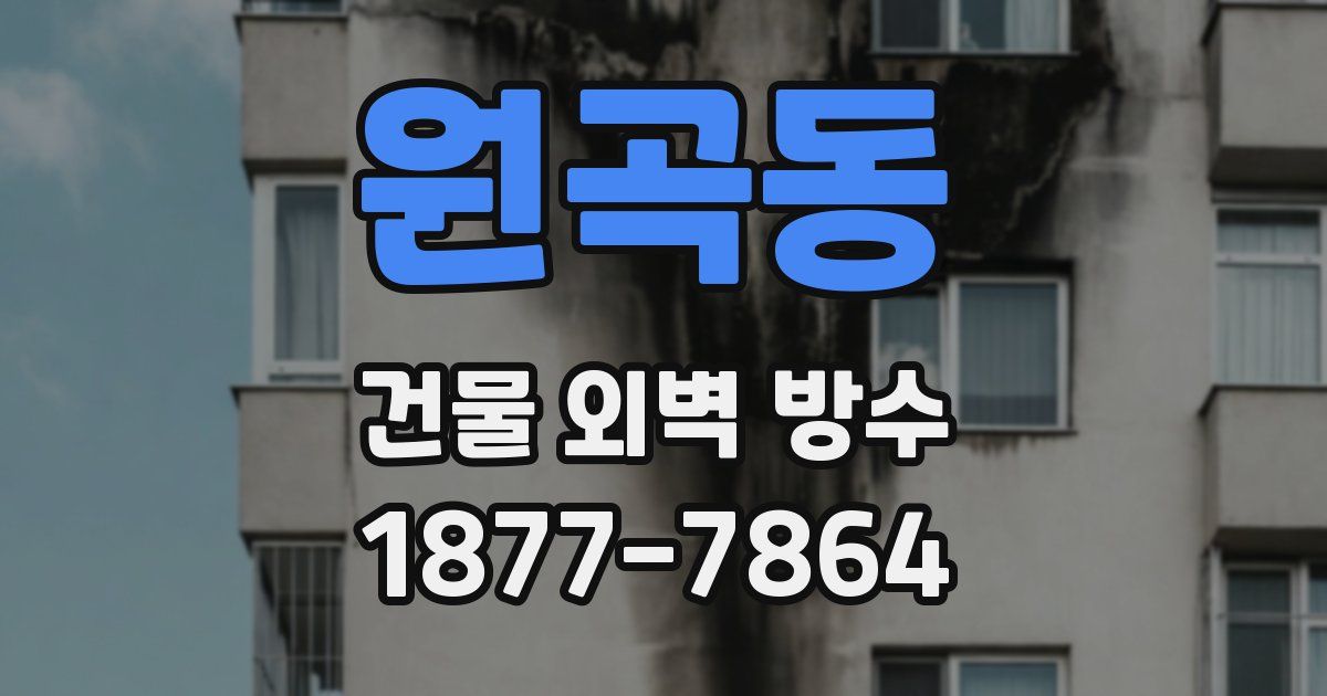 원곡동 건물 외벽 방수