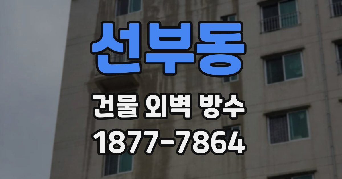 선부동 건물 외벽 방수