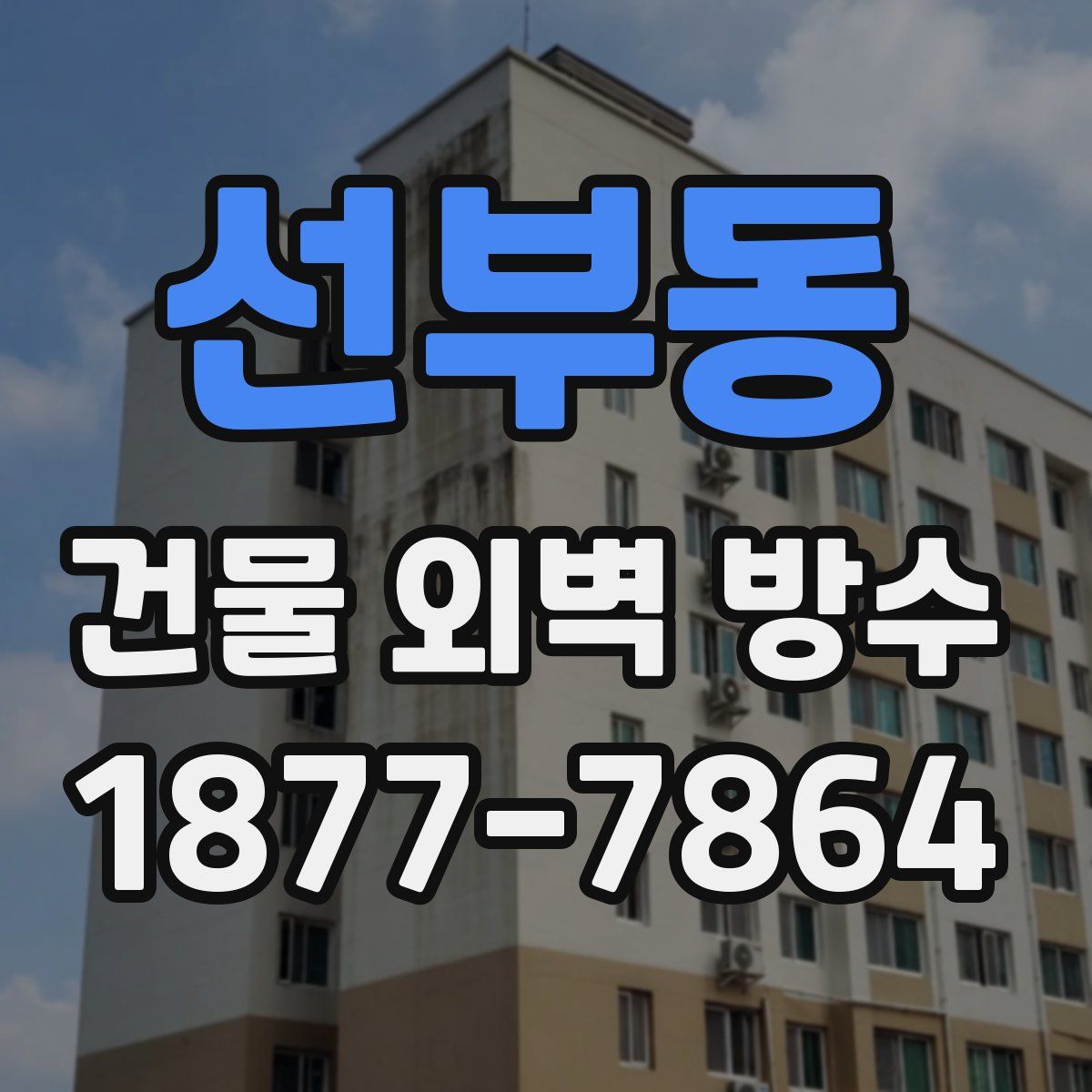 선부동 건물 외벽 방수
