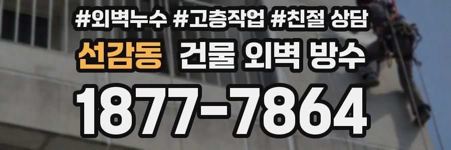 선감동 건물 외벽 방수