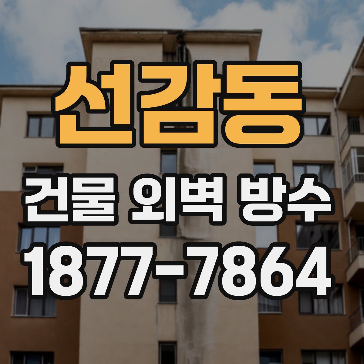 선감동 건물 외벽 방수